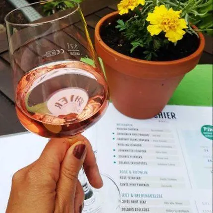 Gaestehaus Weingut Schier Im Zehnthof Bed & Breakfast Reil