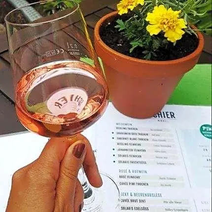 Gaestehaus Schier Im Zehnthof - Weinbar 3* Reil